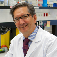 Prof. Jesus San-Miguel